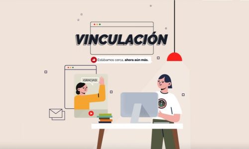 Proyectos de Vinculación